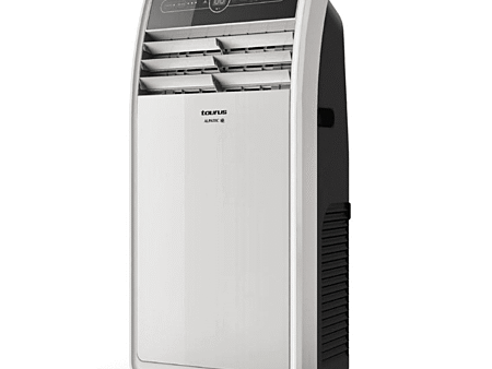Climatiseur mobile réversible déshumidificateur 3 500 W