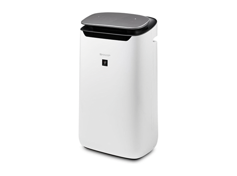 Purificateur d'air Sharp FPJ60EUW